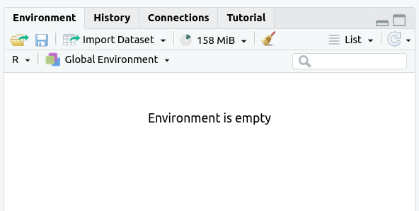 Screenshot showing the Environment tab with only the words Environment Is Empty