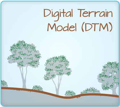 Drawing of trees on undulating terrain.
A brown line along the top of the terrain indicates the Digital Terrain Model